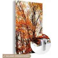 MuchoWow Glasschilderij 20x30 cm - Schilderij acrylglas - Bos - Herfst - Seizoenen - Foto op glas - Schilderijen