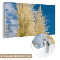 MuchoWow Glasschilderij 40x20 cm - Schilderij acrylglas - Planten - Pampasgras - Lucht - Foto op glas - Schilderijen