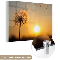 MuchoWow Glasschilderij 30x20 cm - Schilderij acrylglas - Paardenbloem - Zon - Zonsondergang - Foto op glas - Schilderijen