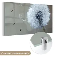 MuchoWow Glasschilderij 40x20 cm - Schilderij acrylglas - Paardenbloem - Bloem - Plant - Foto op glas - Schilderijen