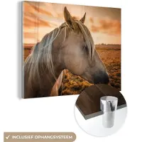 MuchoWow Glasschilderij 40x30 cm - Schilderij acrylglas - Paard - Dieren - Portret - Foto op glas - Schilderijen