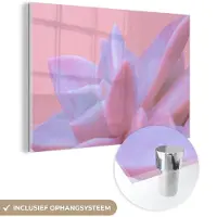MuchoWow Glasschilderij 30x20 cm - Schilderij acrylglas - Vetplant - Zomer - Roze - Planten - Foto op glas - Schilderijen