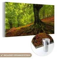 MuchoWow Glasschilderij 40x20 cm - Schilderij acrylglas - Boom - Bos - Herfstbladeren - Foto op glas - Schilderijen
