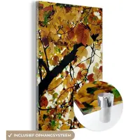 MuchoWow Glasschilderij 40x60 cm - Schilderij acrylglas - Bomen - Herfstbladeren - Natuur - Foto op glas - Schilderijen
