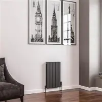 Eastbrook Addington type 20 radiator 35x60cm 502W staal antraciet