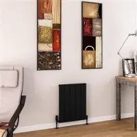 Eastbrook Charlton radiator 45x60cm aluminium 503W zwart mat