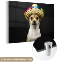 MuchoWow Glasschilderij 180x120 cm - Schilderij acrylglas - Hond - Sombrero - Zwart - Foto op glas - Schilderijen