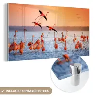 MuchoWow - Glasschilderij - Foto op glas - Vogel - Flamingo - Zonsondergang - Water - Tropisch - 120x60 cm - Acrylglas - Kamerdecoratie - Glasschilderij vogels - Muurdecoratie