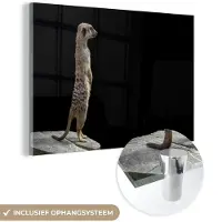 MuchoWow Glasschilderij 90x60 cm - Schilderij acrylglas - Stokstaartje - Wilde dieren - Zwart - Foto op glas - Schilderijen
