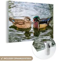 MuchoWow - Glasschilderij - Foto op glas - Acrylglas - Eend - Vogels - Water - Veren - 180x120 cm - Schilderij glas - Glasschilderij vogels - Glasschilderij dieren - Slaapkamer