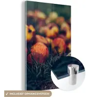 MuchoWow Glasschilderij 20x30 cm - Schilderij acrylglas - Landelijke decoratie - Herfst - Appel - Fruit - Foto op glas - Schilderijen