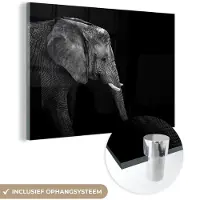 MuchoWow Glasschilderij - Foto op glas - Acrylglas - Olifant - Dieren - Wild - Zwart wit - Schilderij glas - 180x120 cm - Glasschilderij olifant - Wanddecoratie glas - Woondecoratie