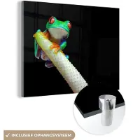 MuchoWow Glasschilderij 160x120 cm - Schilderij acrylglas - Kikker - Dieren - Plant - Foto op glas - Schilderijen