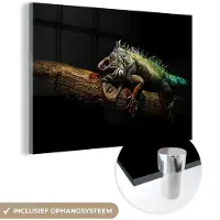 MuchoWow Glasschilderij 30x20 cm - Schilderij acrylglas - Dier - Tak - Zwart - Foto op glas - Schilderijen