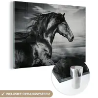 MuchoWow - Glasschilderij - Foto op glas - Acrylglas - Dieren - Paard - Natuur - Zwart wit - Wanddecoratie - 30x20 cm - Schilderij paard - Schilderijen woonkamer