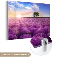 MuchoWow Glasschilderij - Foto op glas - Lavendel - Bloemen - Boom - Zon - Landschap - Acrylglas - 90x60 cm - Glasschilderij bloemen - Wanddecoratie glas - Schilderij paars - Kamerdecoratie