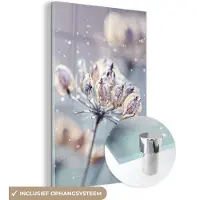 MuchoWow Glasschilderij 20x30 cm - Schilderij acrylglas - Bloemen - Sneeuw - IJs - Winter - Botanisch - Foto op glas - Schilderijen