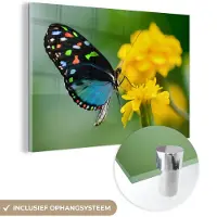MuchoWow Glasschilderij - Foto op glas - Vlinder - Bloemen - Kleuren - 150x100 cm - Acrylverf - Glasschilderij vlinder - Glasschilderij bloemen - Schilderij glas - Kamer decoratie - Woonkamer
