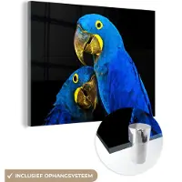 MuchoWow Glasschilderij 160x120 cm - Schilderij acrylglas - Papegaai - Vogel - Veren - Blauw - Foto op glas - Schilderijen