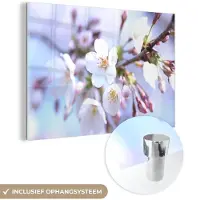 MuchoWow Glasschilderij 30x20 cm - Schilderij acrylglas - Bloemen - Sakura - Tak - Foto op glas - Schilderijen