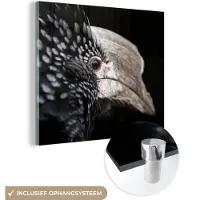 MuchoWow Glasschilderij 20x20 cm - Schilderij acrylglas - Vogel - Snavel - Veren - Foto op glas - Schilderijen