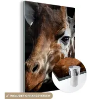MuchoWow Glasschilderij 90x120 cm - Schilderij acrylglas - Giraffe - Licht - Zwart - Foto op glas - Schilderijen