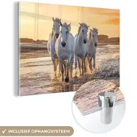 MuchoWow Glasschilderij 60x40 cm - Schilderij acrylglas - Paarden - Water - Strand - Dieren - Foto op glas - Schilderijen
