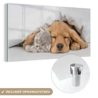MuchoWow Glasschilderij - Foto op glas - Acrylglas - Kat - Hond - Poes - Honden - Deken - Dieren - 80x40 cm - Glasschilderij hond - Muurdecoratie glas - Wanddecoratie