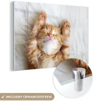 MuchoWow Glasschilderij - Foto op glas - Acrylglas - Kat - Deken - Poes - Kitten - Dieren - Schilderijen woonkamer - 180x120 cm - Schilderij glas - Wanddecoratie - Muurdecoratie