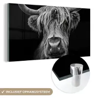 MuchoWow Glasschilderij Schotse hooglander - Koe - Zwart wit - Hoorns - Portret - Slaapkamer decoratie - Wanddecoratie glas - 40x20 cm - Foto op glas - Woonkamer
