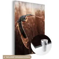 MuchoWow Glasschilderij - Foto op glas - Acrylglas - Vogel - Uil - Zonsondergang - Natuur - Wanddecoratie - 90x120 cm - Glasschilderij vogels - Schilderij glas - Glasschilderij uil - Kamerdecoratie