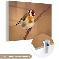 MuchoWow Glasschilderij 60x40 cm - Schilderij acrylglas - Putter - Vogel - Dieren - Foto op glas - Schilderijen