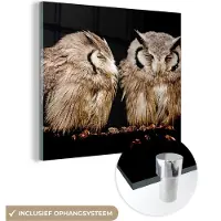 MuchoWow Glasschilderij 20x20 cm - Schilderij acrylglas - Uil - Vogel - Zwart - Foto op glas - Schilderijen