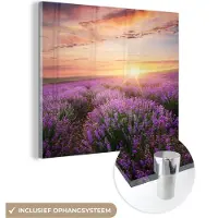 MuchoWow Glasschilderij 50x50 cm - Schilderij acrylglas - Lavendel - Zon - Bloemen - Foto op glas - Schilderijen