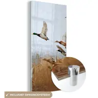 MuchoWow - Glasschilderij - Acrylglas - Foto op glas - Eend - Vogel - Riet - Water - 40x80 cm - Glasschilderij vogels - Muurdecoratie - Glasschilderij natuur - Slaapkamer