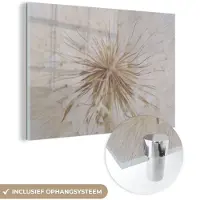 MuchoWow Glasschilderij 120x80 cm - Schilderij acrylglas - Bloemen - Paardenbloem - Design - Foto op glas - Schilderijen