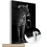 MuchoWow Glasschilderij - Acrylglas - Wilde dieren - Luipaard - Natuur - Zwart - Wit - Muurdecoratie - Foto op glas - 30x40 cm - Schilderijen woonkamer - Wanddecoratie dieren