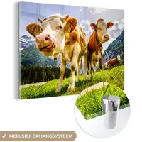 MuchoWow - Glasschilderij dieren - Schilderij glas - Koeien - Gebergte - Alpen - Natuur - Dieren - Foto op glas - Glasschilderij - 150x100 cm - Acrylglas