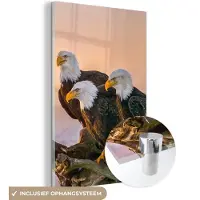 MuchoWow Glasschilderij - Foto op glas - Vogels - Dieren - Arend - Roofvogel - Takken - Acrylglas - 40x60 cm - Glasschilderij vogels - Schilderij glas - Wanddecoratie glas - Glasschilderij dieren