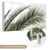 MuchoWow Glasschilderij 40x20 cm - Schilderij acrylglas - Zomer - Bladeren - Tropisch - Palmblad - Foto op glas - Schilderijen