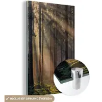 MuchoWow Glasschilderij - Foto op glas - Acrylglas - Zonlicht - Gras - Groen - Glasschilderij natuur - Muurdecoratie - 40x60 cm - Wanddecoratie - Schilderij glas