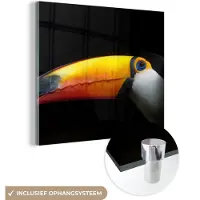 MuchoWow Glasschilderij 50x50 cm - Schilderij acrylglas - Toekan - Vogel - Snavel - Foto op glas - Schilderijen