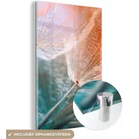 MuchoWow Glasschilderij 40x60 cm - Schilderij acrylglas - Bloem - Paardenbloem - Plant - Foto op glas - Schilderijen