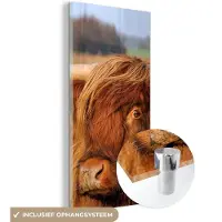 MuchoWow Glasschilderij 20x40 cm - Schilderij acrylglas - Schotse Hooglander - Gras - Boom - Foto op glas - Schilderijen
