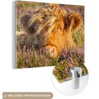 MuchoWow Glasschilderij 120x90 cm - Schilderij acrylglas - Schotse Hooglander - Heide - Gras - Dieren - Foto op glas - Schilderijen