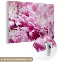 MuchoWow Glasschilderij 60x40 cm - Schilderij acrylglas - Bloemen - Roze - Natuur - Foto op glas - Schilderijen