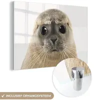 MuchoWow Glasschilderij 180x120 cm - Schilderij acrylglas - Jongens - Zeehond - Kinderen - Meisjes - Dieren - Foto op glas - Schilderijen