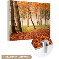 MuchoWow Glasschilderij 40x30 cm - Schilderij acrylglas - Bladeren - Herfst - Bos - Foto op glas - Schilderijen