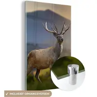 MuchoWow - Glasschilderij - Schilderij glas - Hert - Bergen - Zon - Gras - Landschap - Acrylglas - Foto op glas - 100x150 cm - Schilderijen woonkamer - Wanddecoratie
