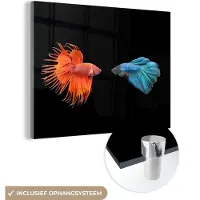 MuchoWow Glasschilderij 160x120 cm - Schilderij acrylglas - Vis - Wilde dieren - Zwart - Foto op glas - Schilderijen